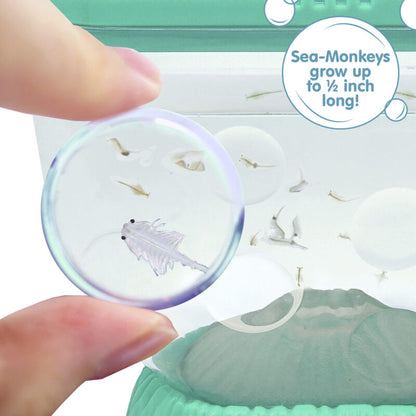 Sea-Monkeys Ocean Volcano - US 5002
