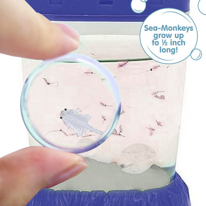 Sea-Monkeys Magiquarium - US 8119
